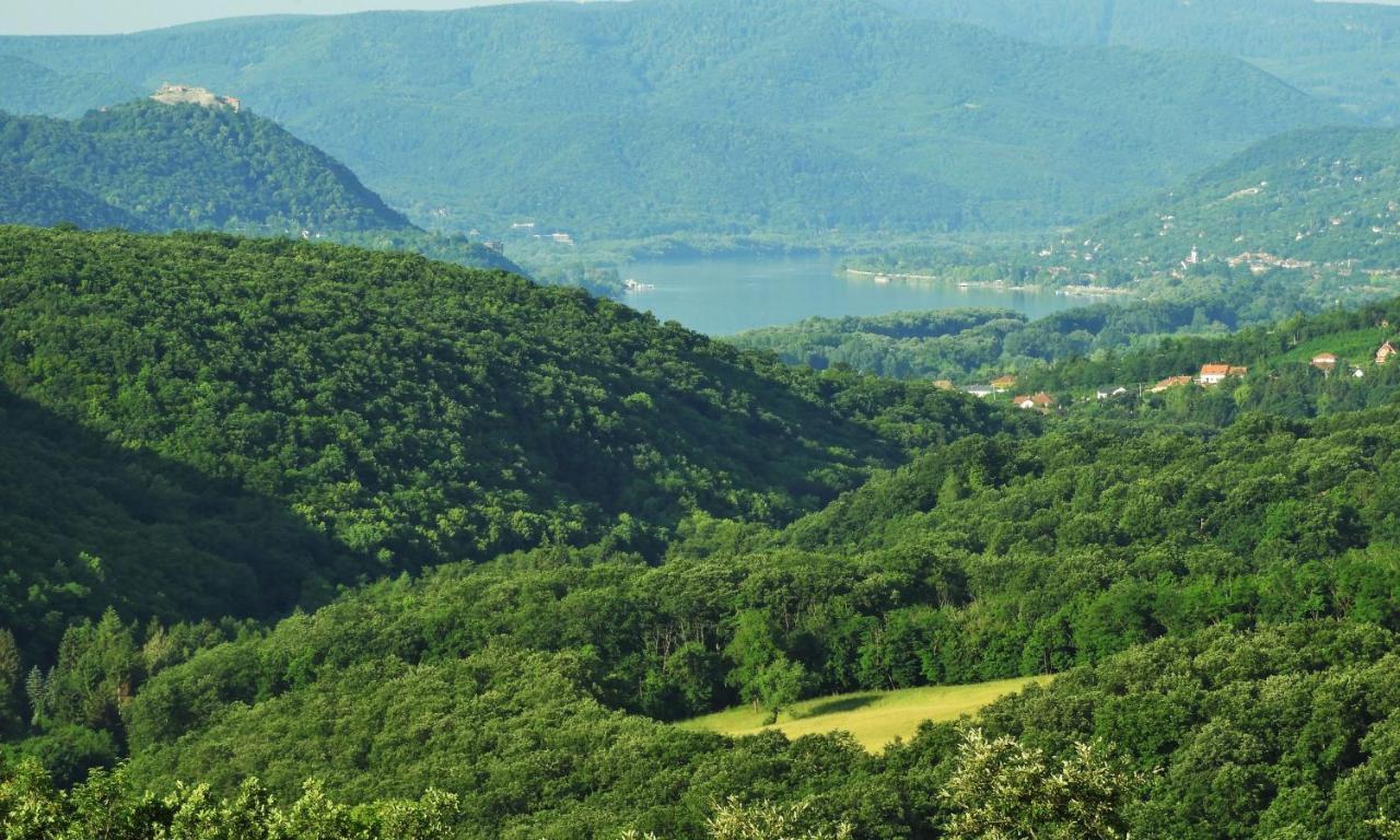 Liget Vendeghaz Villa Szokolya Exteriör bild